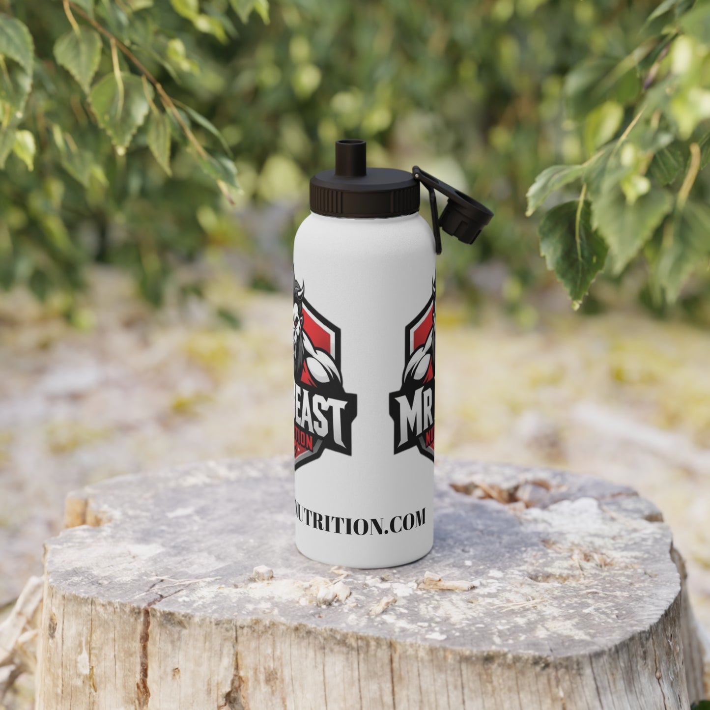 Stainless Steel Water Bottle, Sports Lid