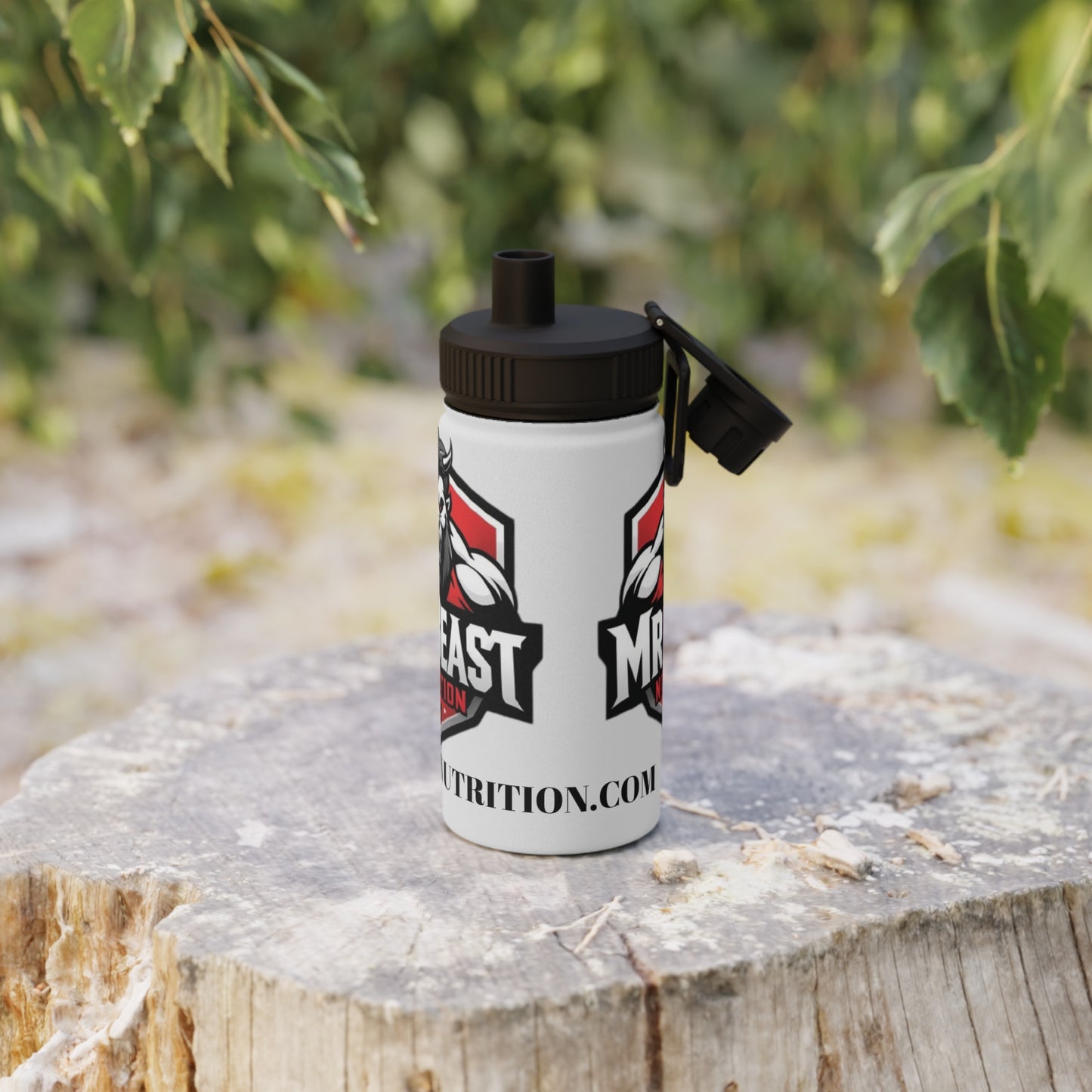 Stainless Steel Water Bottle, Sports Lid