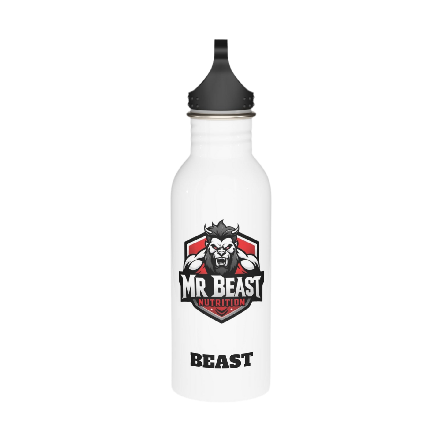 Stainless Steel Water Bottle